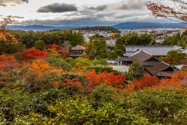 تجربتي في اليابان