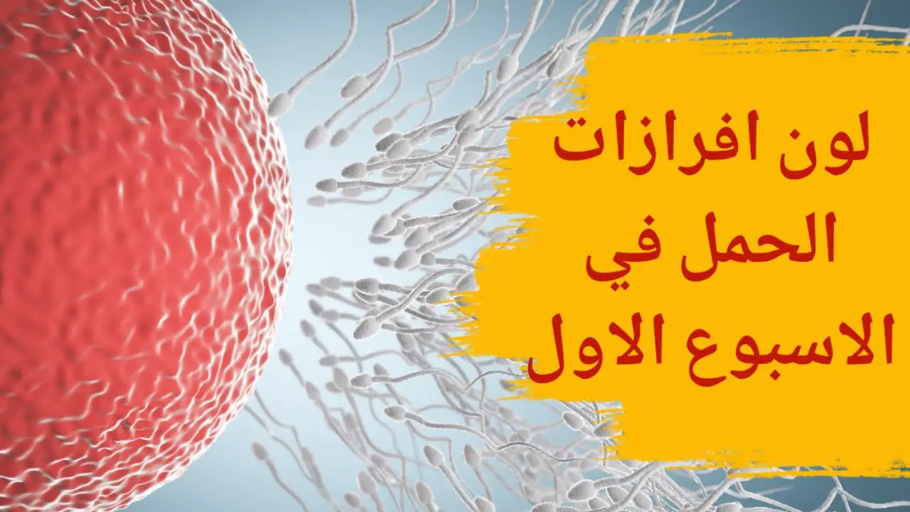 كيف اعرف انى حامل من الافرازات؟