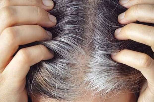 أهم تفسيرات ابن سيرين لرؤية الشعر الأبيض في المنام للمتزوجة